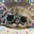 Victoria Gasser Berdis's profile image