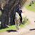 Sharalyn Hay's profile image