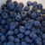 Jill Kuncaitis-Morisette's profile image