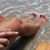 Cindy Stephens Sanford's profile image