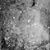 Alex Sasson's profile image