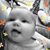 Katie Diehl's profile image