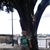 Lydia Linda's profile image