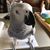 Kim Stead's profile image