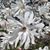 Tracy Timmerman Jeffries's profile image