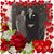 Margare Meek's profile image