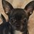 Jeannie Patrick's profile image