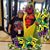 Leslie Fuchs Hakanson's profile image