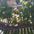 Sue Khouri's profile image
