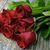 Maria Rubio's profile image
