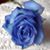 Kavitha Mc's profile image