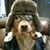 Edward Sokol's profile image