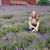 Alison Brantley's profile image