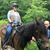 Dawn M. Laughlin's profile image
