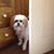 Shary Stevens Dell's profile image