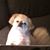 Sherry O'Keefe-Chagaris's profile image