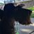 Nick Garcia's profile image