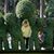 Donna Shelley's profile image