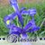 Sandra Kelley Bell's profile image
