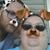 Crystal G Bridges Naumann's profile image