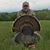 James H Smith's profile image