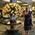 Kelly Carpenter's profile image