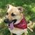 Tina Hockett Wilson's profile image