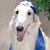 Marsha Hines's profile image