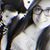Nashaly Mojica's profile image