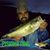 Rio Sandate's profile image