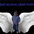 Rocio Villanueva's profile image