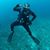 David Willig's profile image