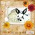 Ansley B.'s profile image