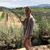 Kyleigh June Uroz's profile image