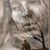 Karen Pascual's profile image