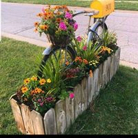 Susie Susann Wheeler-Hall's profile image