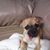 Melinda Luedecke's profile image