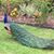 Laura Localn's profile image