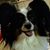 Annie Banannie's profile image