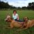 Lisa Heesch's profile image