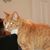 Renee Cauthon Reeves's profile image
