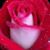 Jennifer Mishler's profile image