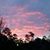 Terri Russell's profile image