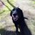 Alicia Bulluck Jones's profile image