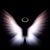 Diane Langeberg's profile image
