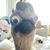 Marny Kay Fricker Foltz's profile image