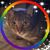 Cora Maley's profile image