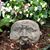 Carolyn Searls Switalski's profile image