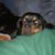 Kristi Woolf Partridge's profile image