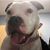 Julio C Reyes's profile image